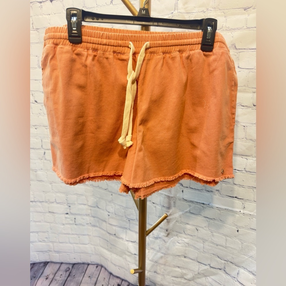NWT Volcom Strutin Stone Shorts XXL